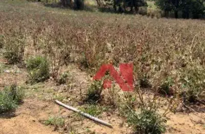 Terreno à venda, 2000 m² por R$ 127.800,00 - Zona Rural - Mogi Guaçu/SP