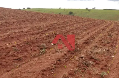 Fazenda à venda, 175000 m² por R$ 1.600.000 - São José do Mato Dentro. - Ouro Fino/MG