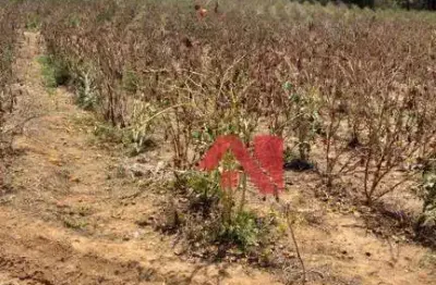 Terreno à venda, 2000 m² por R$ 130.000,00 - Zona Rural - Mogi Guaçu/SP