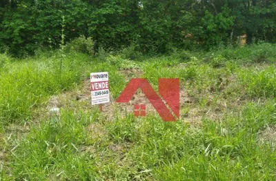 Terreno à venda, 200 m² por R$ 120.000 Loteamento Elzio Mariotoni - Jardim Europa - Mogi Mirim/SP