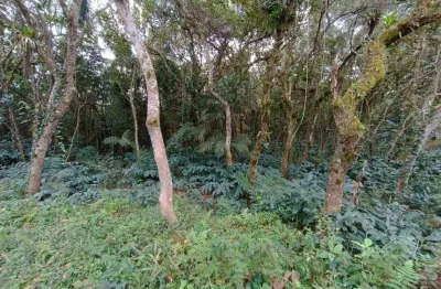 Sítio à venda em Embura, São Paulo-SP: 2 quartos, 1 banheiro e 20.000m² de área! Venha conferir!