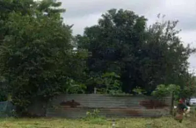 Terreno comercial à venda na Rua Campinas, Quintino Facci I, Ribeirão Preto