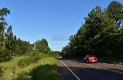 Terreno à venda na Zona Rural, Montenegro 