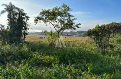 Terreno comercial à venda na rua quinze de outubro, --, pirabeiraba, joinville por r$ 23.500.000