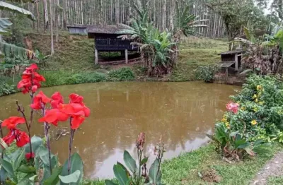 Chácara / sítio com 5 quartos à venda na rua emílio hardt, --, rio bonito (pirabeiraba), joinville, 400 m2 por r$ 7.000.000