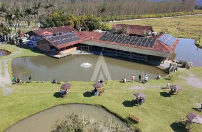 Chácara / sítio à venda na estrada do pico, --, pirabeiraba, joinville, 1060 m2 por r$ 4.200.000