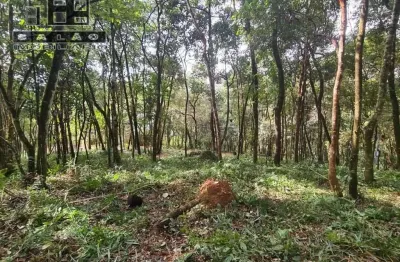 Terreno em condomínio fechado à venda na dos sonhos, arvoredo, nova lima por r$ 480.000