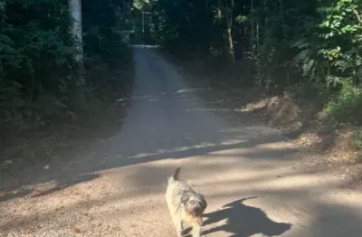 Terreno à venda na Rua Ulisses de Macedo Barreira, 73, Embu Mirim, Itapecerica da Serra
