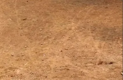 Terreno à venda na Rua Pinheiro do Paraná, 152, Parque Guarani, São Paulo