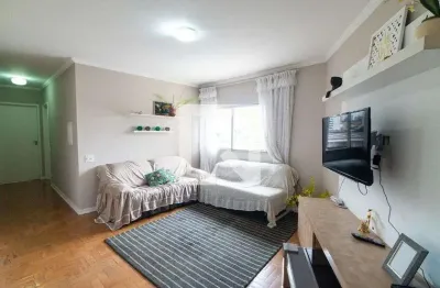 Apartamento à venda - vila mascote, 2 quartos,  80 m2