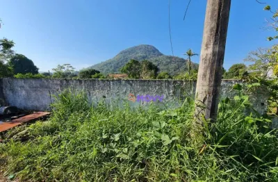 Terreno à venda, 3000 m² por r$ 350.000,00 - rincão mimoso (itaipuaçu) - maricá/rj