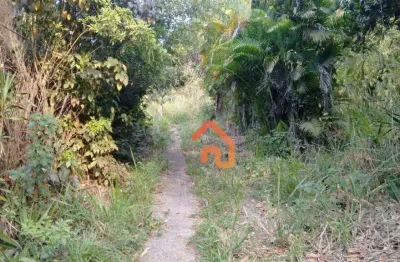 Área à venda, 30000 m² por r$ 10.000.000,00 - pendotiba - niterói/rj