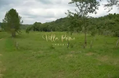 Terreno, parque das flores, são paulo - r$ 11.6 mi, cod: 713