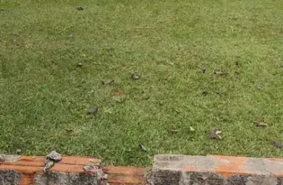 Terreno em condomínio à venda no portal da primavera - sorocaba/sp