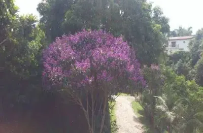 Terreno à venda na Rua Dorothy de Oliveira, 769, Jardim das Estrelas, Sorocaba
