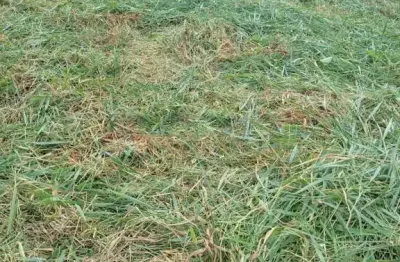 Terreno á venda no jardim piazza di roma - sorocaba/sp