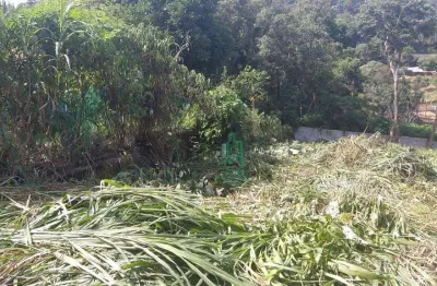 Terreno à venda, 585 m² por r$ 69.000,00 - est santa maria do portão - atibaia/sp