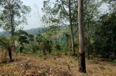 Terreno à venda, 3500 m² por r$ 233.000,00 - estancia arujá - arujá/sp