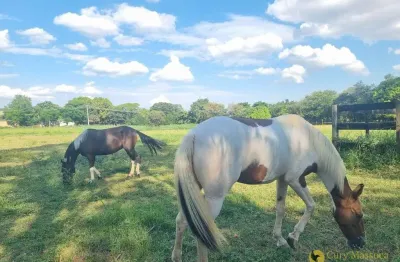 Chácara no condomínio santa filomena em salto, ideal para cavalos e pequenos cultivos, além de um amplo espaço para seu descanso e lazer