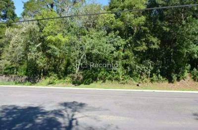 Terreno à venda na Rua Antônio Benneti Sobrinho, 1186, Villagio, Gramado
