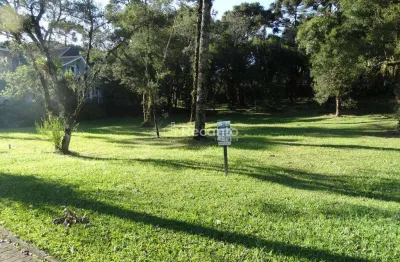 Terreno à venda, 739 m² altos pinheiros - canela/rs
