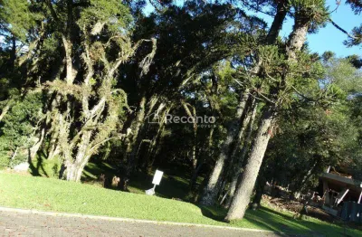Terreno à venda na Rua Rodolfo Schlieper, 90, Centro, Canela