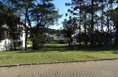Terreno à venda, 795 m² por  - altos pinheiros - canela/rs