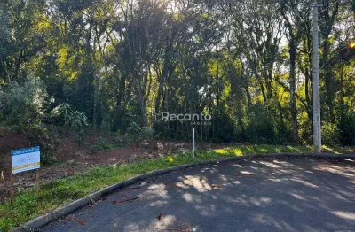 Terreno à venda na Rua Vereador Theodoro Michaelsen, 1306, Moura, Gramado