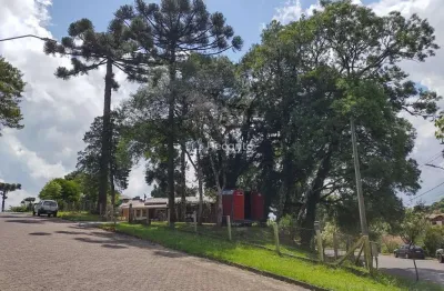 Terreno à venda na Asis Brasil, Maggi, Canela
