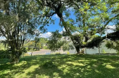 Terreno à venda na Rs 235, Centro, Nova Petrópolis