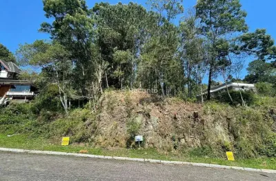 Terreno à venda na Estrada Linha ávila, Vale das Colinas, Gramado