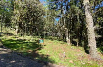 Terreno à venda na Rua José Pedro Piva, Parque Pinheiro Grosso, Canela