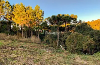 Terreno à venda na Rua São Francisco, São Bernardo, São Francisco de Paula