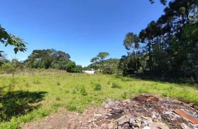 Terreno à venda na R. Otto Herrmann, 00, Floresta, Gramado