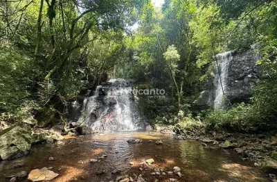 Chácara / sítio à venda na Estrada Velha Do Moreira, Zona Rural, Gramado