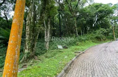 Terreno à venda na Rodovia Ers 466 Estrada Canela - Caracol, 1999, Parque Pinheiro Grosso, Canela