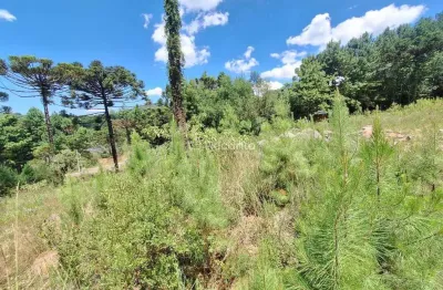 Terreno à venda na Rua Vereador Theodoro Michaelsen, 1306, Moura, Gramado
