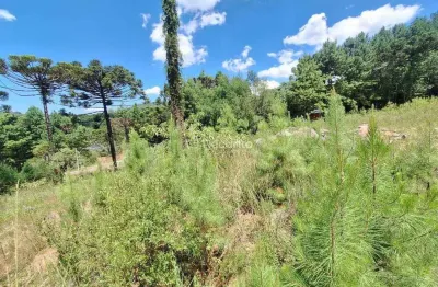 Terreno à venda na Rua Vereador Theodoro Michaelsen, 1306, Moura, Gramado