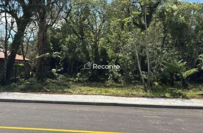 Terreno à venda na Rua Dos Pinheiros, Alpes Verdes, Canela