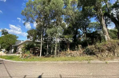 Terreno à venda na Carniel, Vivendas do Arvoredo, Gramado