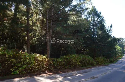 Área à venda, 82000 m² - mato queimado - gramado/rs