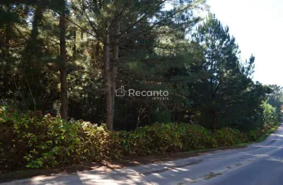 Fazenda à venda na Estrada Caracol, 1, Mato Queimado, Gramado