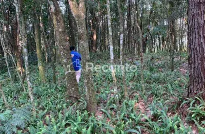 Fazenda à venda na Rua Do Quilombo, Belvedere, Gramado