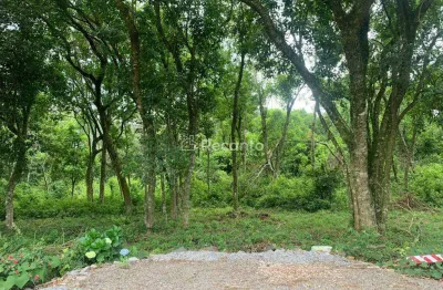 Fazenda à venda na Travessa Do Colégio, Belvedere, Gramado