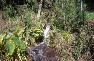 Fazenda à venda na Estrada Linha Araripe, 1, Araripe, Gramado