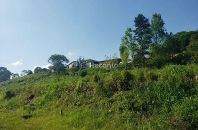 Área à venda, 36000 m²  - várzea grande - gramado/rs