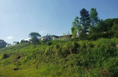 Fazenda à venda na Estrada Moleque, Várzea Grande 1º de Maio, Gramado