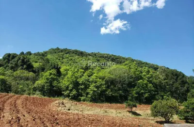 Fazenda à venda na Estrada Linha Bonita, Linha Bonita, Gramado