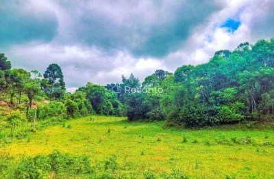 Fazenda à venda na Estrada Linha Scheida, 7, Serra Grande Alemã, Gramado