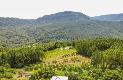 Fazenda à venda na Estrada Do Quilombo, 00, Linha 28, Gramado